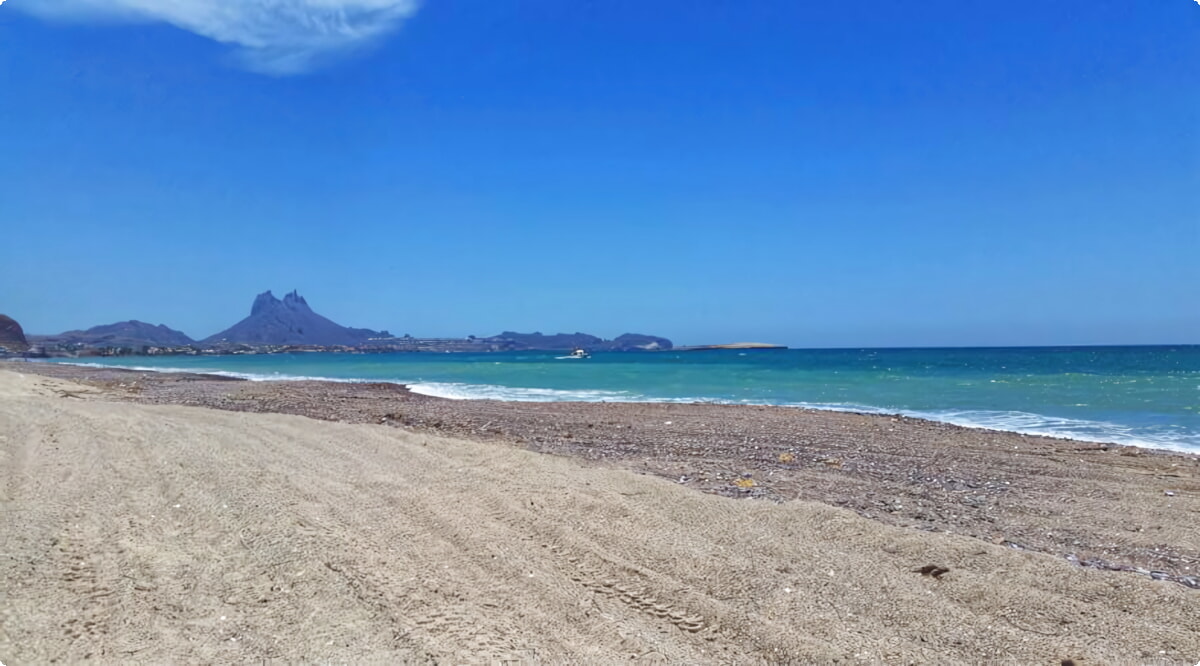 Nosso inventário inclui uma ampla variedade de veículos.